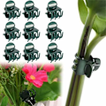 Miniatyrbild 4 av 5: 100 st växtklämmor, blomklämma, orkidéklämmor, växtset, för tillbehör för att stödja växter inomhus och utomhus
