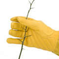 Miniatyrbillede 2 af 5: Hvide Fåreskind Størrelse S - Have Rose Læder Handsker Kvinder Udvidet Pro Rose Handsker Beskæring Have til Mor og Bedstemor Havegaver Fåreskind G