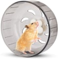 Miniatyrbillede 1 af 5: Hamsterløbehjul, 13 cm Hamsterhjul Lille Dyr Hamster Træningshjul Stille Plastik Løbehjul til Hamster Gerbil Marsvin