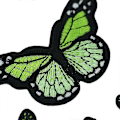 Miniatyrbild 4 av 5: 24 st Butterfly Stryk på Patch Fjäril Stryk Patch Sy men