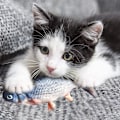 Miniatyrbild 5 av 5: Elektronisk fiskleksak för katt, realistisk automatisk interaktiv katt leksak, plysch katt leksak kattmynta tuggleksak