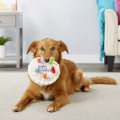 Miniatyrbillede 4 af 5: Hunde Squeaky Bone Legetøj, Kæledyr Plys Tygge Kage Legetøj, Sød Hund Kat Plys Dessert Fødselsdag Gave - Knogle