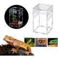 Miniatyrbild 1 av 5: 12 X 12 X 20 cm akryl reptil terrarium transparent reptil terrarium