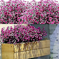 Miniatyrbild 1 av 5: 12 förpackningar konstgjorda buskar buskar Uv-resistenta konstgjorda blommor utomhusväxter