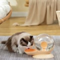 Miniatyrbild 3 av 5: Vattenautomat, bärbar hundvattenflaska 2800 ml kattvattendunk, resevattenflaska skål för hund, katt, dricksvatten, resor, rosa