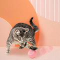 Miniatyrbild 2 av 5: Intelligent Automatisk Rullande Boll Katt Leksak med Capnip, USB Elektrisk Interaktiv Katt Leksak för Inomhus Lek Träning, 4.3cm, Rosa