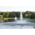Miniatyrbild 3 av 4: Fontänmunstycke Fjäder Stil Musik Komplett Set Vatten Landskap Scenografi Fisk Damm Pool Utrustning