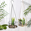 Miniatyrbild 3 av 5: Modern Hängande Glas Terrarium Geometrisk Hexagonformad Sukkulenter Luftväxt Hållare Behållare Väggplanter Blomkruka
