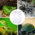 Miniatyrbild 5 av 5: 12 X 12 X 20 cm akryl reptil terrarium transparent reptil terrarium
