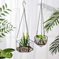 Miniatyrbild 4 av 5: Modern Hängande Glas Terrarium Geometrisk Hexagonformad Sukkulenter Luftväxt Hållare Behållare Väggplanter Blomkruka