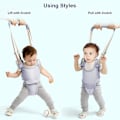 Miniatyrbild 2 av 5: Justerbar Baby Learning Walker Sele & Hållbälte För 7-24 Månader (Lila)