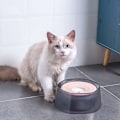 Miniatyrbillede 2 af 5: Hunde Vandskål, Lækagesikker Vandskål til Kæledyr, Flydende Madskål, Ikke-Våd Vandskål til Kæledyr (Blå)