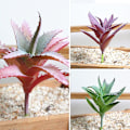 Miniatyrbild 2 av 5: 1 st. Konstgjord Sukkulenter Växt Falsk Aloe Verklighetstrogen DIY Heminredning Arrangemang (Lila)