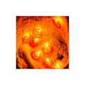 Miniatyrbild 5 av 5: Utomhus solcellslampor - 3 m - 20 LED - för Halloween, trädgård, semester, höst - varmt ljus