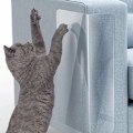 Miniatyrbild 1 av 5: Katt Soffa Anti-scratch Sticker Kit Katt Leksak Katt Soffa Ensidig Anti-scratch Sticker Katt Tass Sticker Katt Scratch Tape (Liten Storlek 14 x 46 (Två Set))