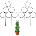 Miniatyrbild 1 av 5: Klätterväxt Metallram Inomhus Växtstativ Växtstativ Smidesjärn Klätterkrukhållare Blomsterstativ 2st (Rund Pentagram, Svart)