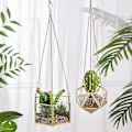 Miniatyrbild 5 av 5: Modern Hängande Glas Terrarium Geometrisk Hexagonformad Sukkulenter Luftväxt Hållare Behållare Väggplanter Blomkruka