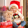 Miniatyrbild 5 av 5: Julstrumpor för Katter 19 Tum, Stor Fiskformad Burlap Rutiga Julstrumpor för Eldstadshängning