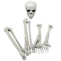 Miniatyrbild 1 av 3: 1 set Simulerat Skelett För Halloween Dekorationer