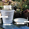 Miniatyrbild 4 av 5: 11cm/14cm Rotkontroll Transparent Blomkruka Phalaenopsis Orkidé Nötkreatur Växter med Stomatal Blomkruka Heminredning 1 Set (2st/set 11cm)