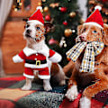 Miniatyrbild 4 av 5: Hund och katt tomtekläder, jul husdjurskläder söta tomtekläder för hund husdjurskläder med tomteluva