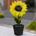 Miniatyrbild 4 av 5: Solar Flower Lantern Solros Field Insert Lawn Garden LightBlack