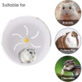 Miniatyrbild 3 av 5: 21 cm hamsterhjul, ultratyst hamsterträningshjul, transparent balanshjul