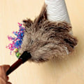 Miniatyrbild 2 av 4: Dammvippa av strutsfjädrar Trädammborste Dammfjäder
