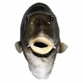 Miniatyrbild 1 av 4: Svart fiskmask Latex djurhuvudmask Grå fiskdräkt huvudbonad Maskeradfest Vuxen