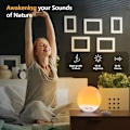 Miniatyrbild 5 av 5: Soluppgångslarm, väckarklocka med sängvibrator, FM-klockradio med soluppgångssimulering