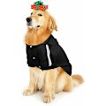 Miniatyrbillede 2 af 5: Afslappet hættetrøje til hund, kæledyrs tøj, blødt og behageligt vintertøj, velegnet til mellemstore til store hunde, sort, 5XL