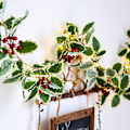 Miniatyrbild 3 av 5: LED Battery Powered String Lights , Winter Holiday, New Year