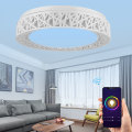 Miniatyrbild 2 av 8: RGB&WW 48W LED Smart Multicolor Taklampa Wifi Vioce