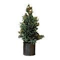 Miniatyrbild 1 av 5: Flocking artificial Christmas tree, desktop cedar Christmas