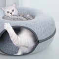 Miniatyrbild 2 av 5: Stor kattunnel säng katt lektunnel säng katt tunnel säng hållbar R