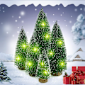 Miniatyrbild 1 av 5: 5 st Mini Cedar Julgran, Flaskborste Gran Liten