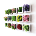 Miniatyrbild 2 av 7: 3D Stereo Vägg Hängande Simulering Växt Fotoram Blomma