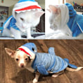 Miniatyrbild 6 av 6: Body Shark Hundkläder Halloween Hund Höst Vinter Husdjurskläder