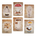 Pikkukuva 4 / 5: Standard Tarot -pakat | Sieniolento Oraakkeli Ennustustyökalut | Englanninkielinen versio
