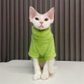 Miniatyrbild 2 av 3: Husdjurskläder Katter Bekväm Tröja Utomhus Varm Snygg Rock green 2XL