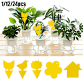 Miniatyrbild 1 av 8: 24 st Klibbiga Flugfällor Papper Fruktflugor Insekt Limfälla Butterfly 24PCS