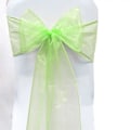 Miniatyrbilde 1 av 3: 10 stk. Organza Stoltrekk Sløyfe Bryllupsdekorasjon Light Green 10 PCS