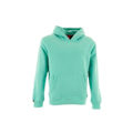Pikkukuva 3 / 4: Hikiö Superdry perustunnus 2md spearmint vaaleanvihreä Grön S