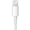 Miniatyrbilde 5 av 11: Effektfull Type-C Till Lightning Snabbladdnings kabel