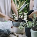 Pikkukuva 7 / 9: Effektfulla Flugfällor / Insektsfällor (6-Pack) SOLROS