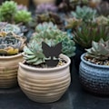 Pikkukuva 1 / 9: Effektfulla Flugfällor / Insektsfällor (6-Pack) FJÄRRIL