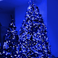 Miniatyrbillede 4 af 5: Jule Mini Lyskæde, 50 LED Lysende Fe Lys Med UL Certificering Blue