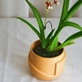 Miniatyrbillede 3 af 5: Sæt med 2 keramiske urtepotter - Irregulær form - Kreativ - Til små planter, kaktusser (a + B) Style 3