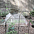 Miniatyrbillede 4 af 4: Havenet Myg Insekt Fugl Havenet Barriere Jagt Blindnet Til Beskyttelse Af Dine Plante Frugter Blomster 305cmx305cm(10ftx10ft)