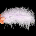 Miniatyrbillede 4 af 5: 100 stk. bløde kalkun marabou fjer 10-15 cm til håndværk drømmefanger dekoration naturlige bløde kalkun marabou fjer, lys lilla